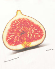 Load image into Gallery viewer, Camiseta oversize Higo Rojo Lena
